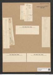 Diatomeae indet. (de-Toni-Nr.: Species 2676 ? var. ?) Zeichnungen Sammlung Grunow Nr. 5497 (NHMW-BOT-W0373933)